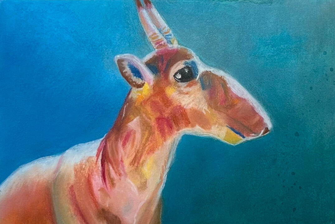 Saiga
